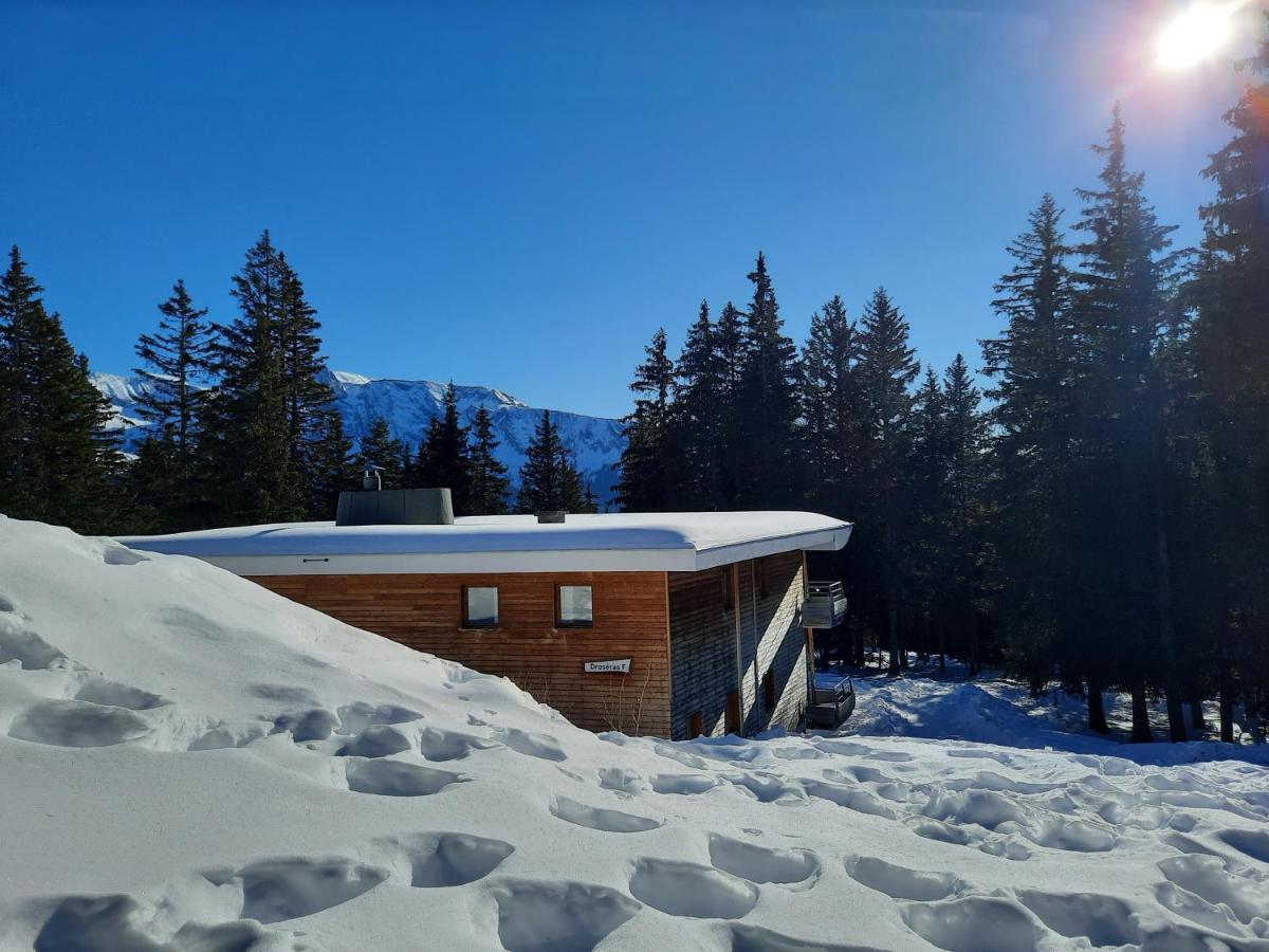 La Petite Foret Chamrousse 1700 ภายนอก รูปภาพ