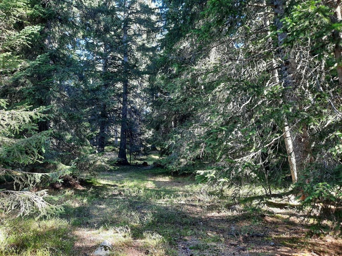 La Petite Foret Chamrousse 1700 ภายนอก รูปภาพ