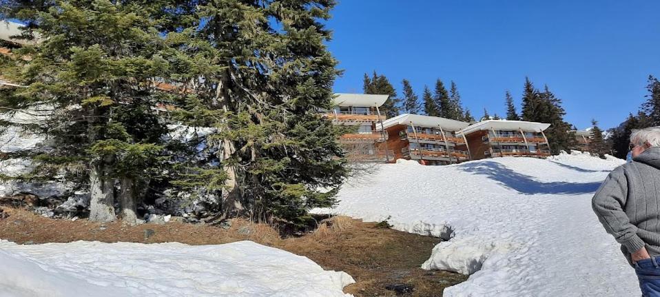La Petite Foret Chamrousse 1700 ภายนอก รูปภาพ