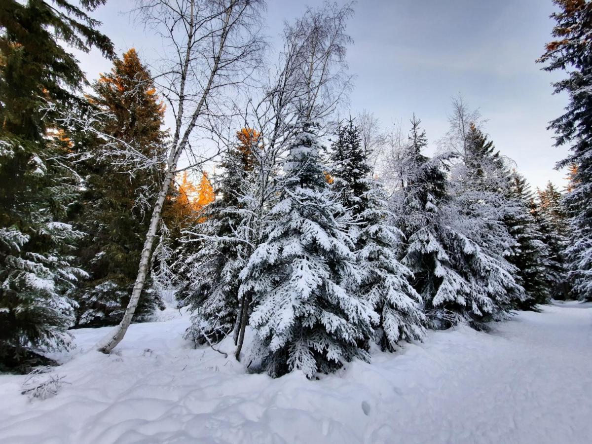 La Petite Foret Chamrousse 1700 ภายนอก รูปภาพ