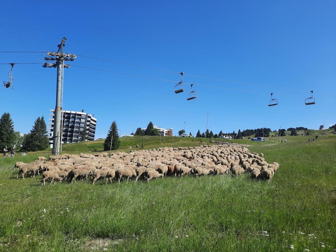 La Petite Foret Chamrousse 1700 ภายนอก รูปภาพ
