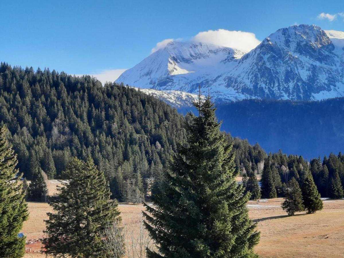La Petite Foret Chamrousse 1700 ภายนอก รูปภาพ