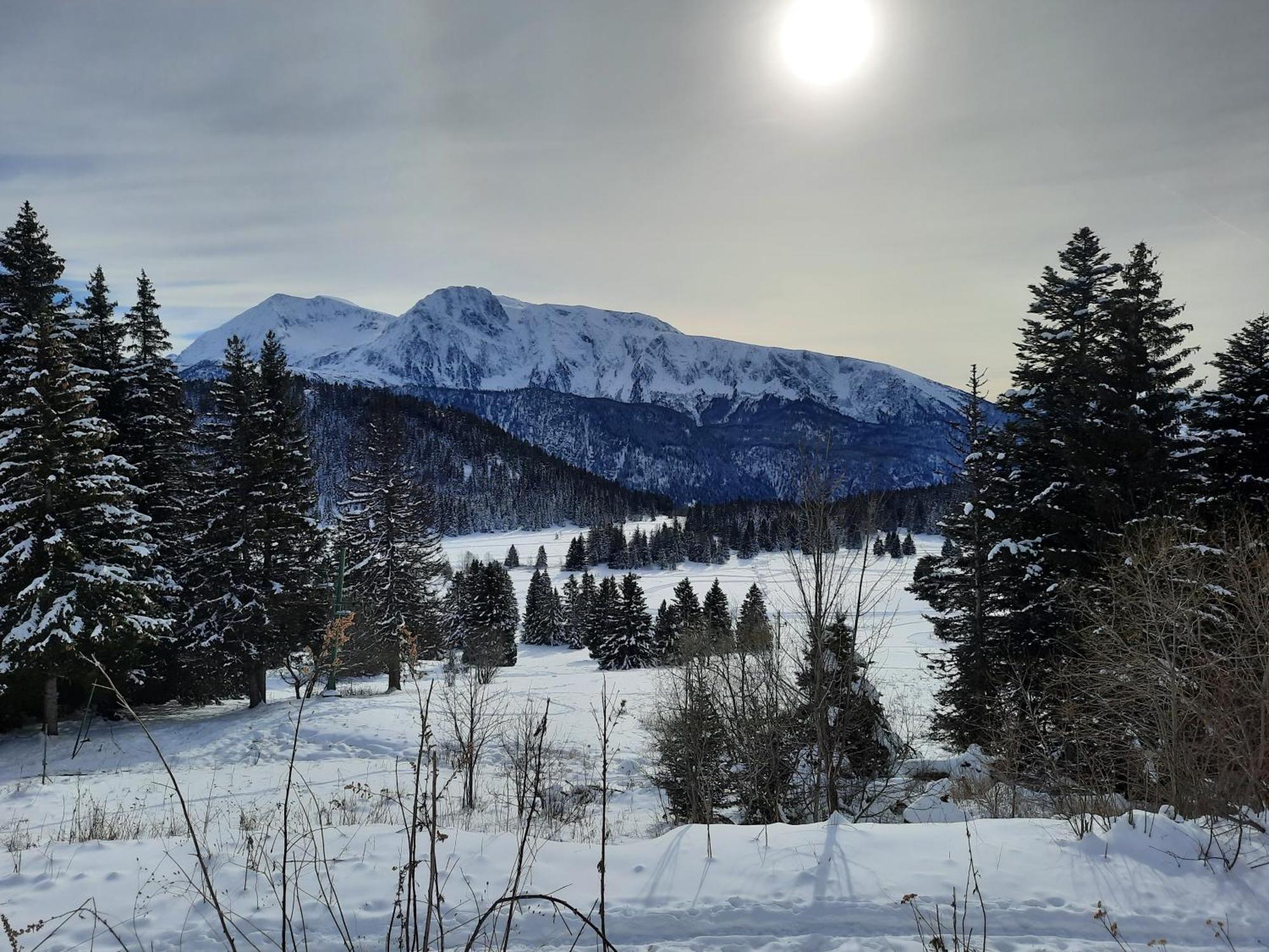 La Petite Foret Chamrousse 1700 ภายนอก รูปภาพ